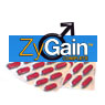 ZyGain Pills