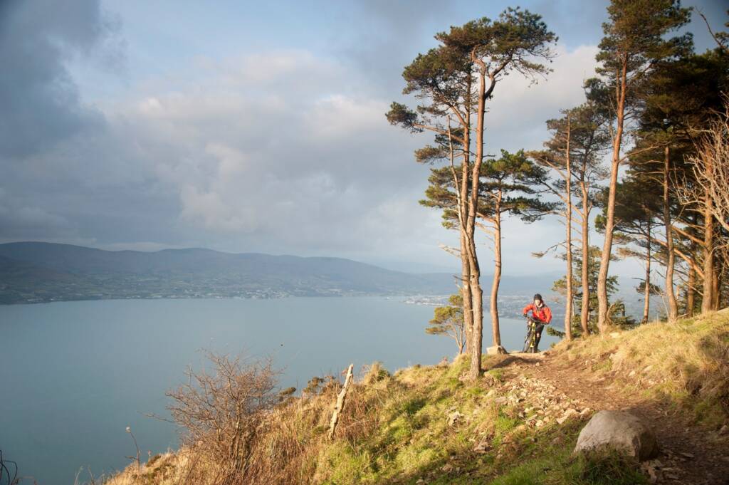 Mountain biker in Rostrevor 