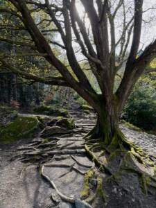 Branch & Aggregate technique