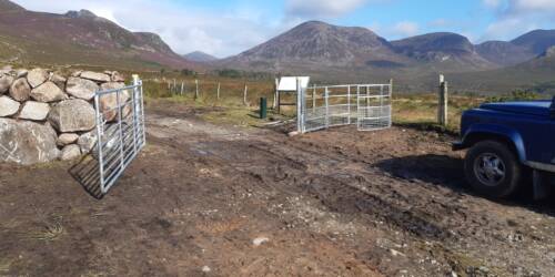 Gate at Carricklittle to facilitate sheep loading