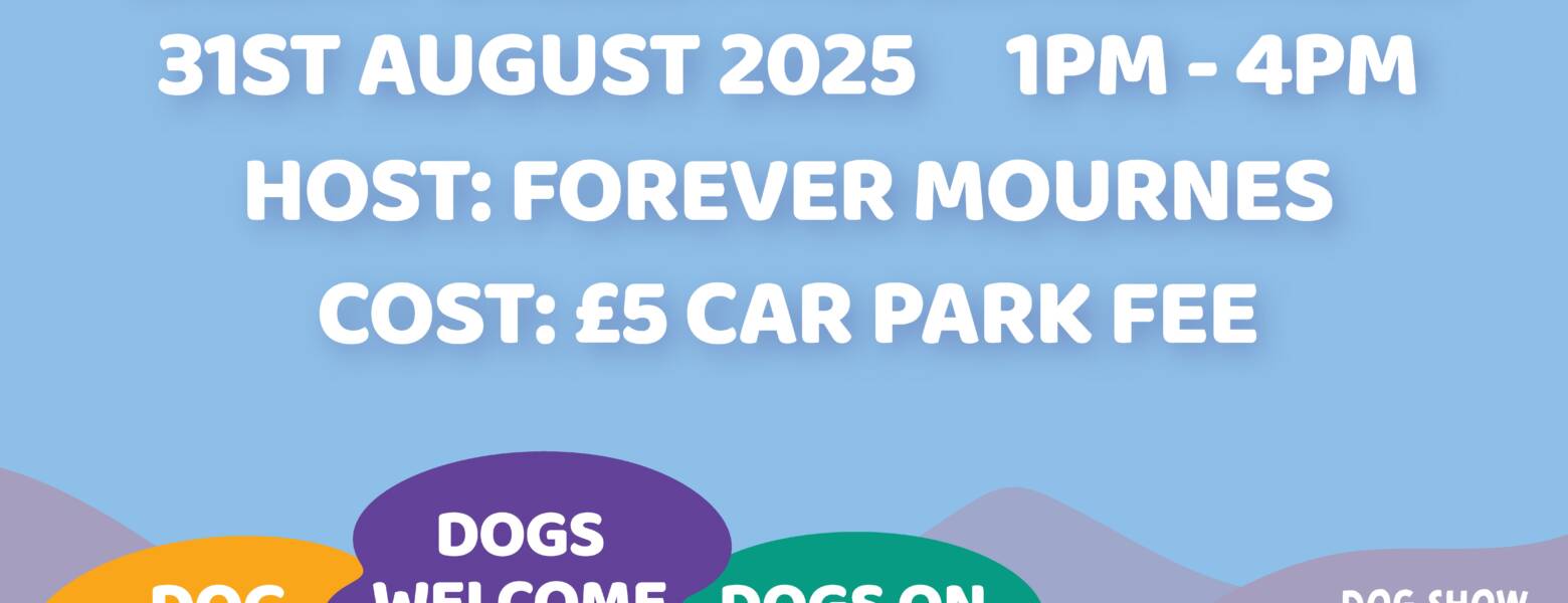 Bark in the Park promo flyer