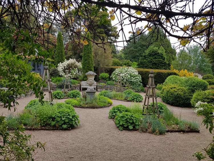 Castlewellan arboretum