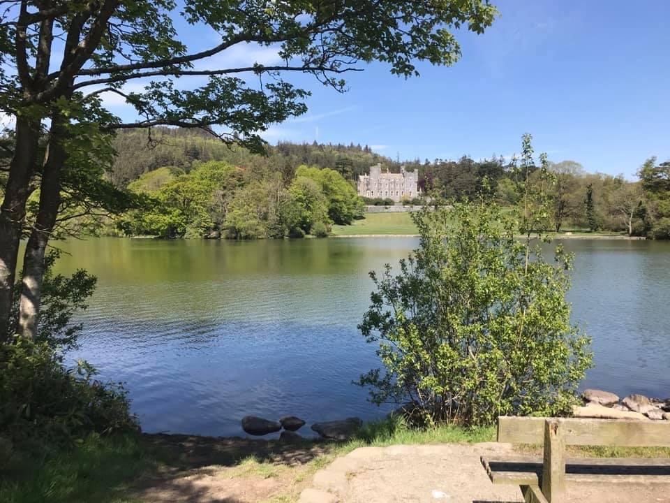 Things to do - Castlewellan Forest Park