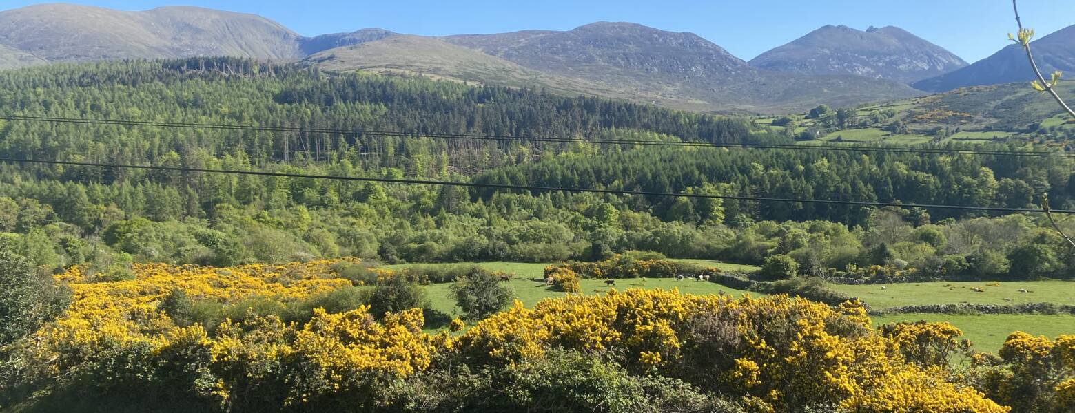 Mourne mountains