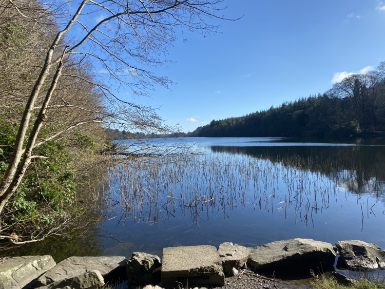 Castlewellan Lake