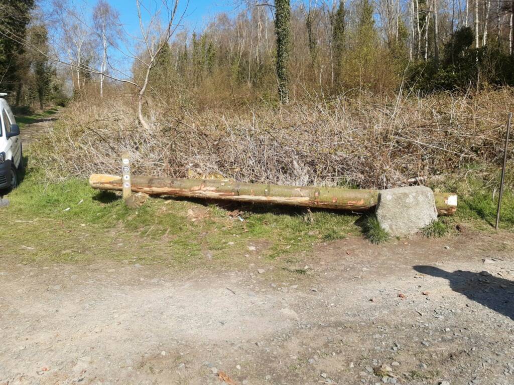 Resting bench, Castlewellan Forest Park