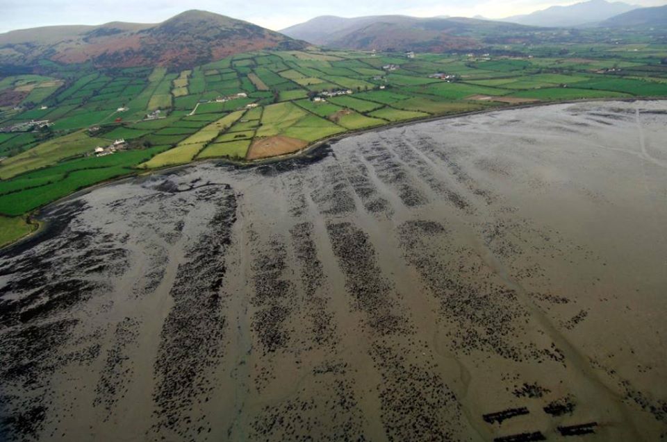 Wrack Beds