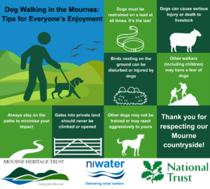 Dog walking in the Mournes - tips